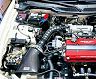 Gruppe M Ram Air Intake System (Carbon Fiber) for Acura Integra