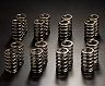 JUN Uprated Valve Springs - Dual Spring for Acura Integra B18