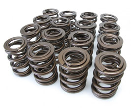 Skunk2 Alpha Valve Springs Set for Acura Integra GSR / Type-R B18C VTEC