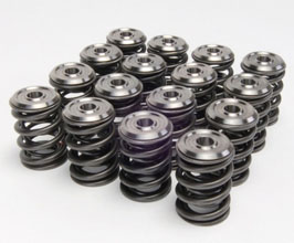 Skunk2 Alpha Valve Springs and Ti Retainers for Acura Integra Type-R DC2