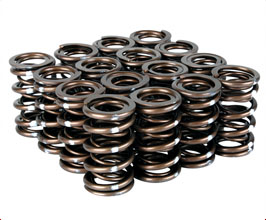 Skunk2 Pro XP Valve Springs for Acura Integra Type-R DC2