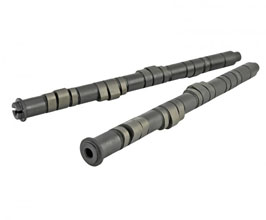 Skunk2 Tuner Camshafts - Stage 1 for Acura Integra Type-R DC2