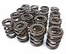 Skunk2 Alpha Valve Springs Set