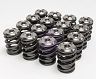Skunk2 Alpha Valve Springs and Ti Retainers for Acura Integra GSR / Type-R B18C VTEC