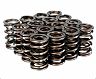 Skunk2 Pro XP Valve Springs for Acura Integra GSR / Type-R B18C VTEC