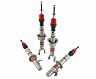 Skunk2 Sport Shocks for Acura Integra DC2/DB8