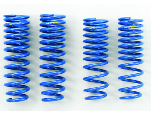 Spoon Sports Progressive Lowering Springs for Acura Integra Type-R JDM DC2