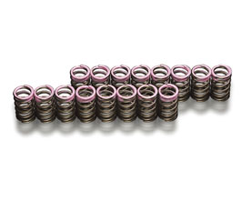 TODA RACING Up Rated Valve Springs for Acura Integra Type-R DC5