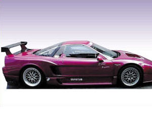 Tracy Sports 79-TIATEC Rear Wide Fenders (FRP) for Acura NSX NA