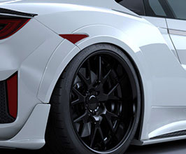 Artisan Spirits Sports Line BLACK LABEL Rear Over Fender - 8mm (FRP) for Acura NSX NC