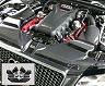 Gruppe M Ram Air Intake System (Carbon Fiber) for Audi RS5 B8