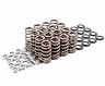 APR Valve Springs with Seats and Retainers Set for Audi A5 B9
