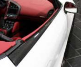 MANSORY Door Outer Trim (Carbon Fiber) for Audi R8 Spyder