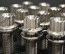 Exotic Car Gear Two-Piece Wheel Bolts (Titanium)