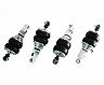 AirREX Air Bag Suspension Struts for Audi R8