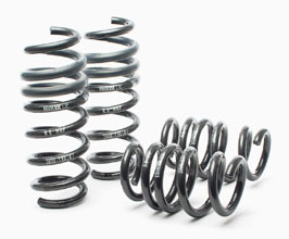 Springs for Audi R8 1