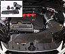 Gruppe M Ram Air Intake System (Carbon Fiber) for Audi TT RS 2.5L Turbo
