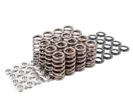 APR Valve Springs with Seats and Retainers for Audi TT (Incl TTS / RS)