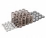 APR Valve Springs with Seats and Retainers