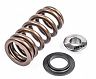 APR Valve Springs with Seats and Retainers for Audi TT RS