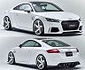 NEWING Alpil Body Kit for Audi TT