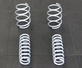 HAMANN Lowering Springs for BMW 335i F30 (Incl xDrive)