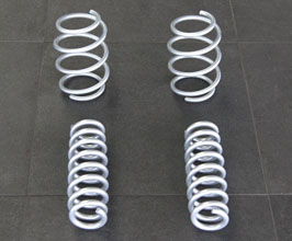 HAMANN Lowering Springs for BMW 3-Series F