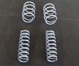 HAMANN Lowering Springs for BMW 3-Series F