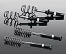 AC Schnitzer Sport Suspension - Lowering Springs and Struts