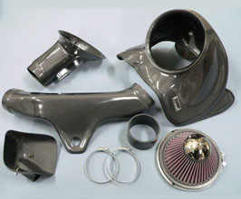 Intake for BMW 4-Series F