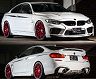 Energy Motor Sport EVO Body Kit