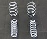 HAMANN Lowering Springs