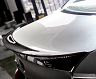 Energy Motor Sport EVO Rear Trunk Spoiler