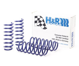 H&R OE Sport Springs for BMW 5-Series F