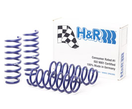 H&R Sport Springs for BMW 528i / 535i RWD F10