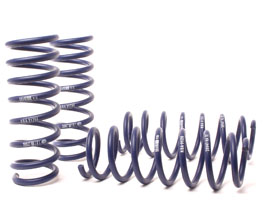 H&R Sport Springs for BMW 550i xDrive F10