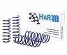 H&R Sport Springs for BMW 528i / 535i RWD F10