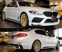 Energy Motor Sport EVO Body Kit (FRP) for BMW 5-Series G30