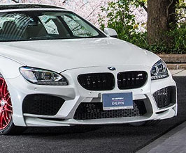 Body Kit Pieces for BMW 6-Series F