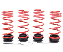 H&R VTF Adjustable Lowering Springs for BMW 6-Series F