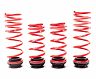 H&R VTF Adjustable Lowering Springs