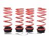 H&R VTF Adjustable Lowering Springs