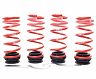 H&R VTF Adjustable Lowering Springs