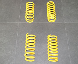 HAMANN Lowering Springs for BMW 6-Series F