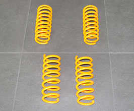 HAMANN Lowering Springs for BMW 6-Series F