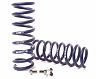 H&R Sport Springs for BMW 760Li / 750Li / 740Li xDrive F02 with Self Level