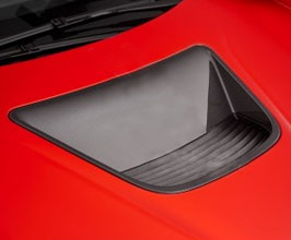 AC Schnitzer Front Hood Vent Insert (Carbon Fiber) for BMW i8 i12 Coupe