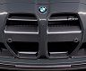 Vorsteiner VRS Front Grill (Dry Carbon Fiber)