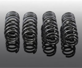 AC Schnitzer Suspension Lowering Springs for BMW M5 F