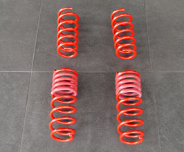 HAMANN Lowering Springs for BMW M5 F10